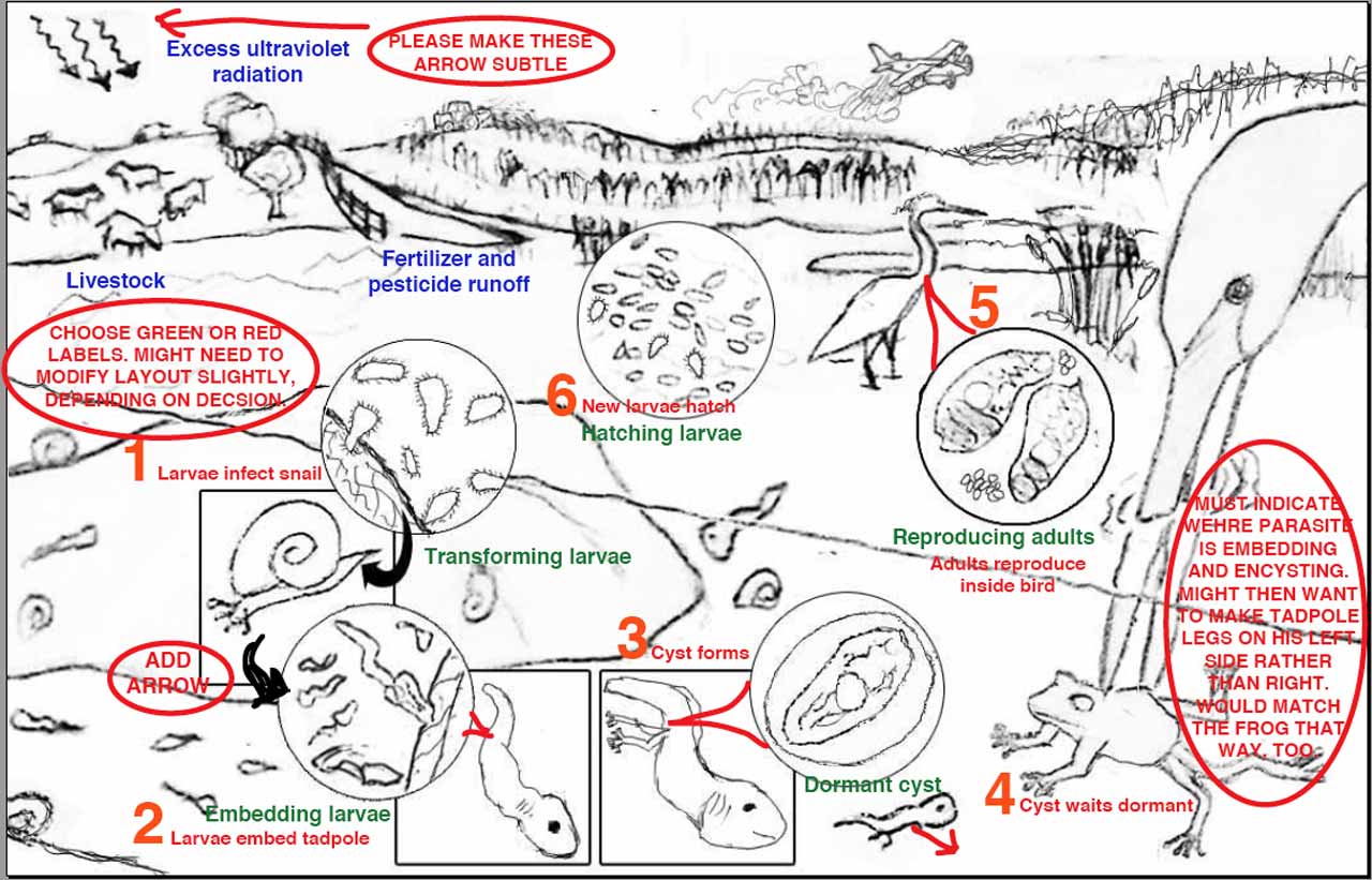 Annotated Sketch Map Showing Land Uses