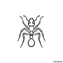 260x260 Download Ant Sketch Clipart Ant Drawing - Ant Sketch