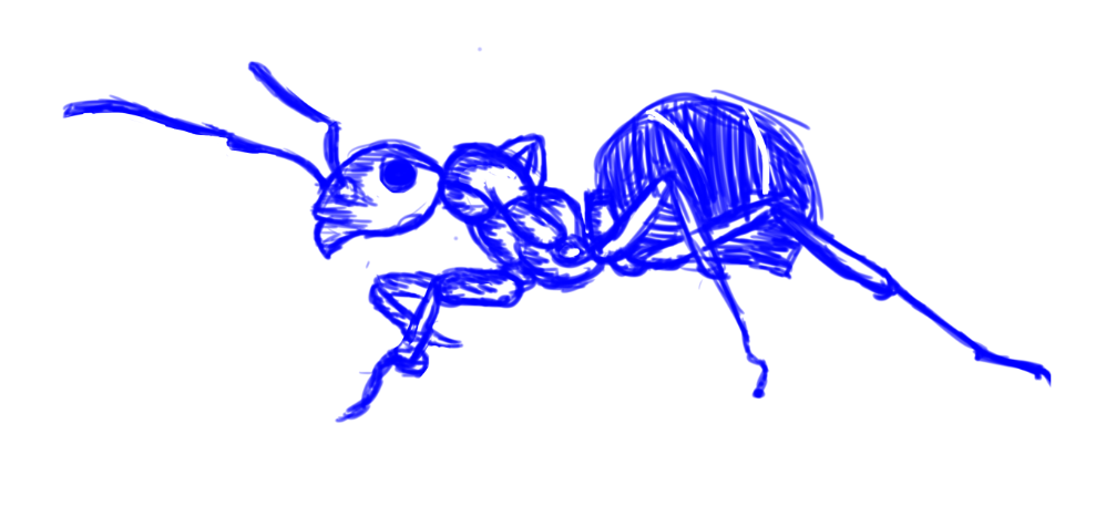 998x467 Ant Sketch By Synthsoda - Ant Sketch