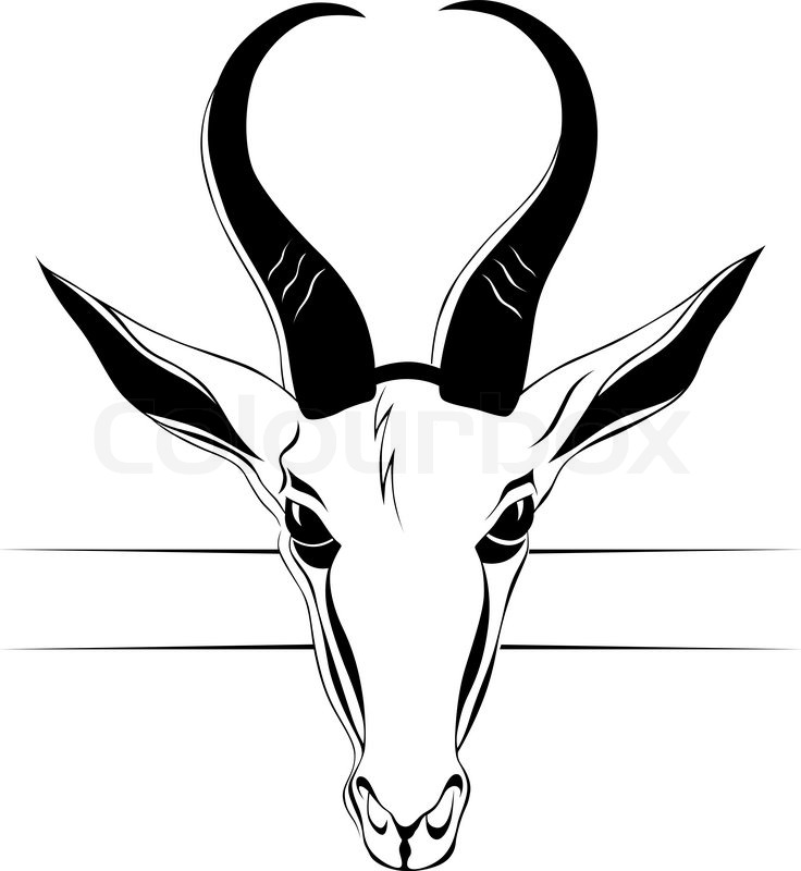 736x800 Antelope Head In Vector Stock Vector Colourbox - Antelope Sketch