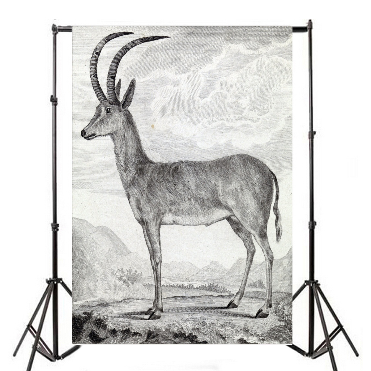 1200x1200 Plateau Antelope Sketch Animal Photography Background 3x5ft Vinyl - Antelope Sketch