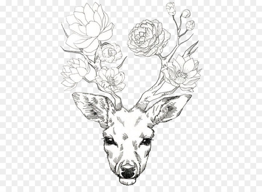 900x660 Deer Antler Drawing Flower Elk - Antler Sketch