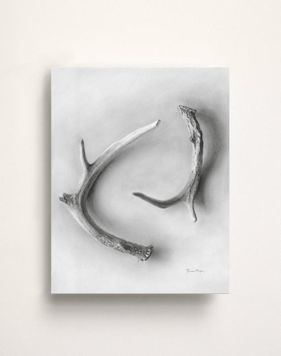 570x723 Deer Antler Yin Amp Yang Graphite Drawing Metal Print 11x14 - Antler Sketch