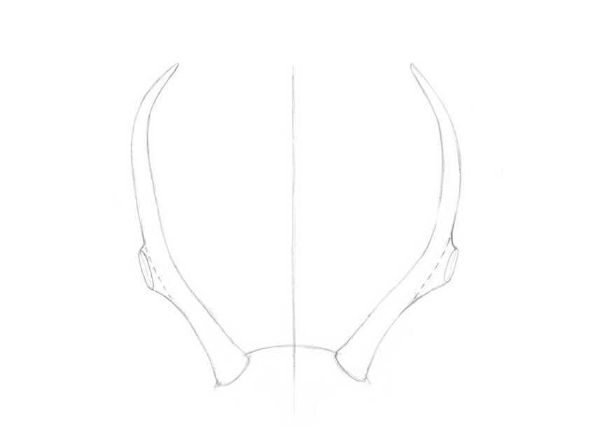 850x640 How To Draw Antlers Step By Step - Antler Sketch