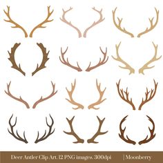 236x236 How To Draw Deer Step 23 Sketches! In 2018 Deer - Antler Sketch