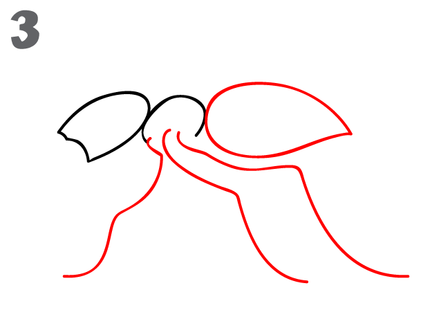622x484 How To Draw An Ant - Ants Sketch