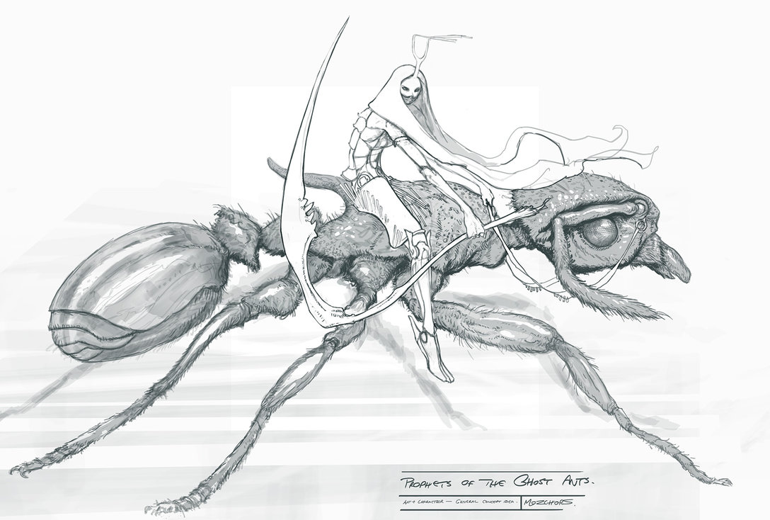 1088x734 Mozzy Update - Ants Sketch