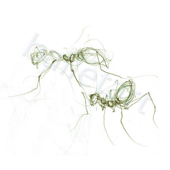 570x570 Olive Green Ants Ant Art Ink Drawing Insect Art Green Etsy - Ants Sketch