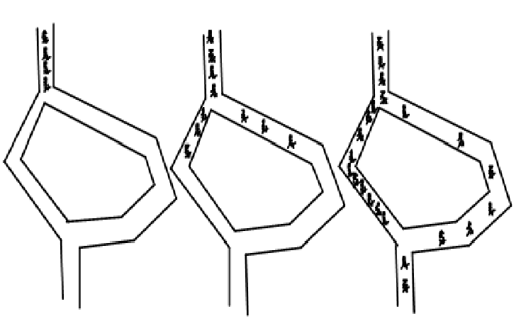 735x453 Shows How The Ants Find The Shortest Path. (Sketch Map Of The Ant - Ants Sketch