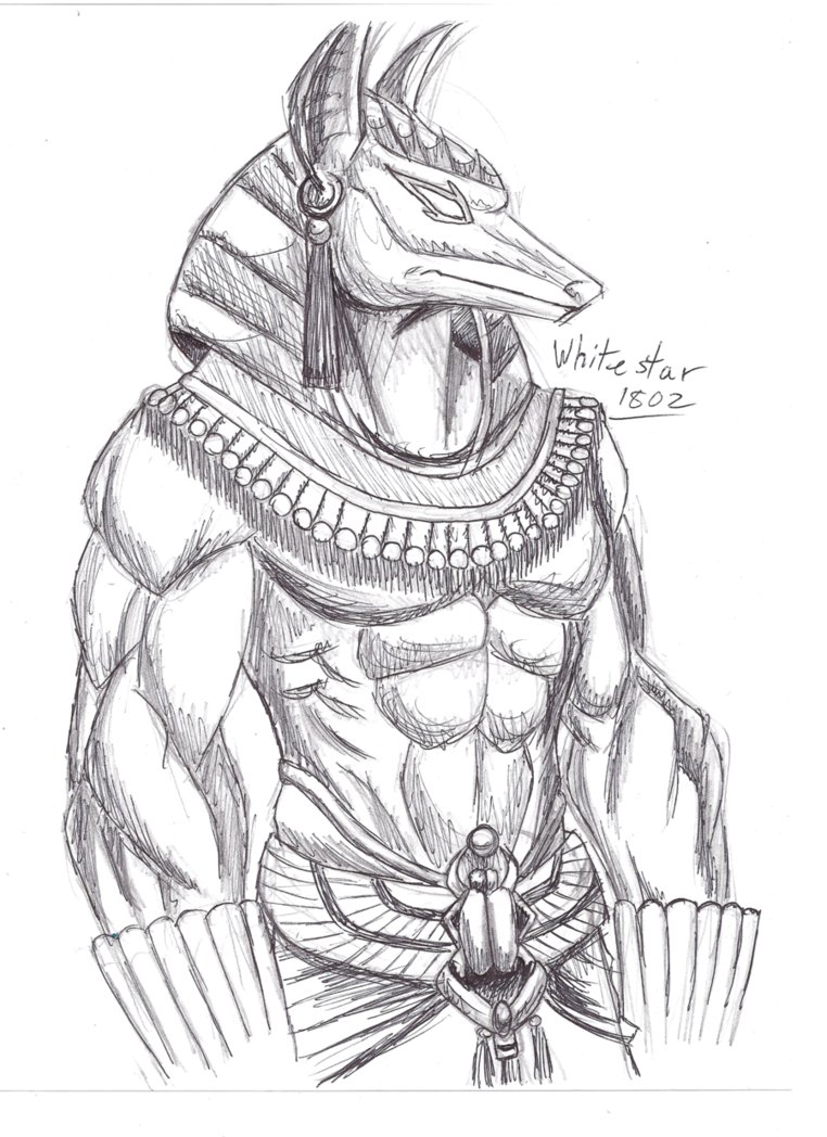 762x1048 Anubis Sketch By Star Sketches - Anubis Sketch