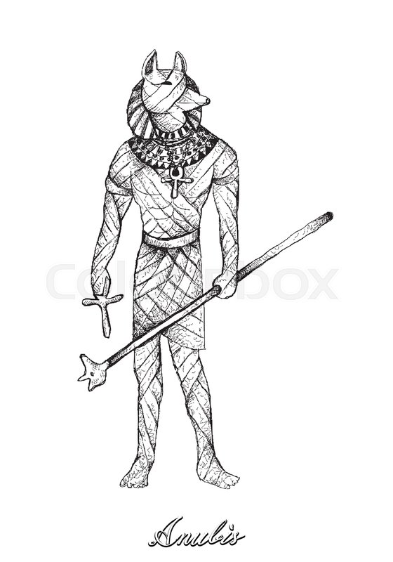 560x800 Illustration Hand Drawn Sketch Of Anubis Isolated On White - Anubis Sketch