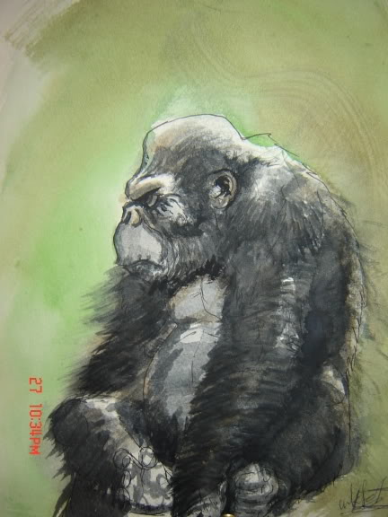 432x576 Ape Watercolour And Fighter Sketch - Ape Sketch