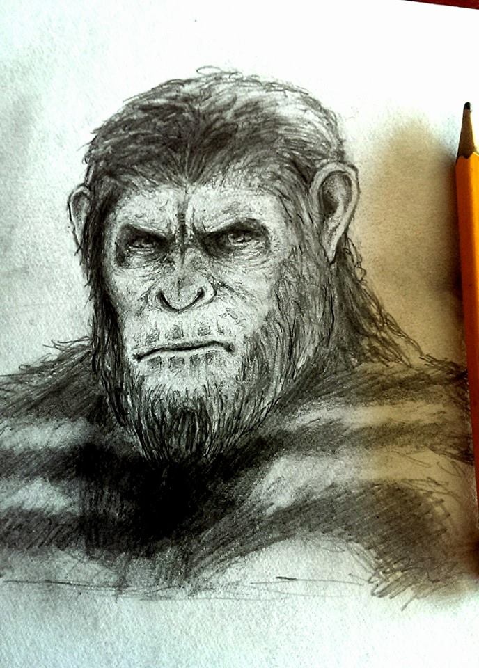 688x960 Caesar Ape Drawing Pics Drawing Skill - Ape Sketch