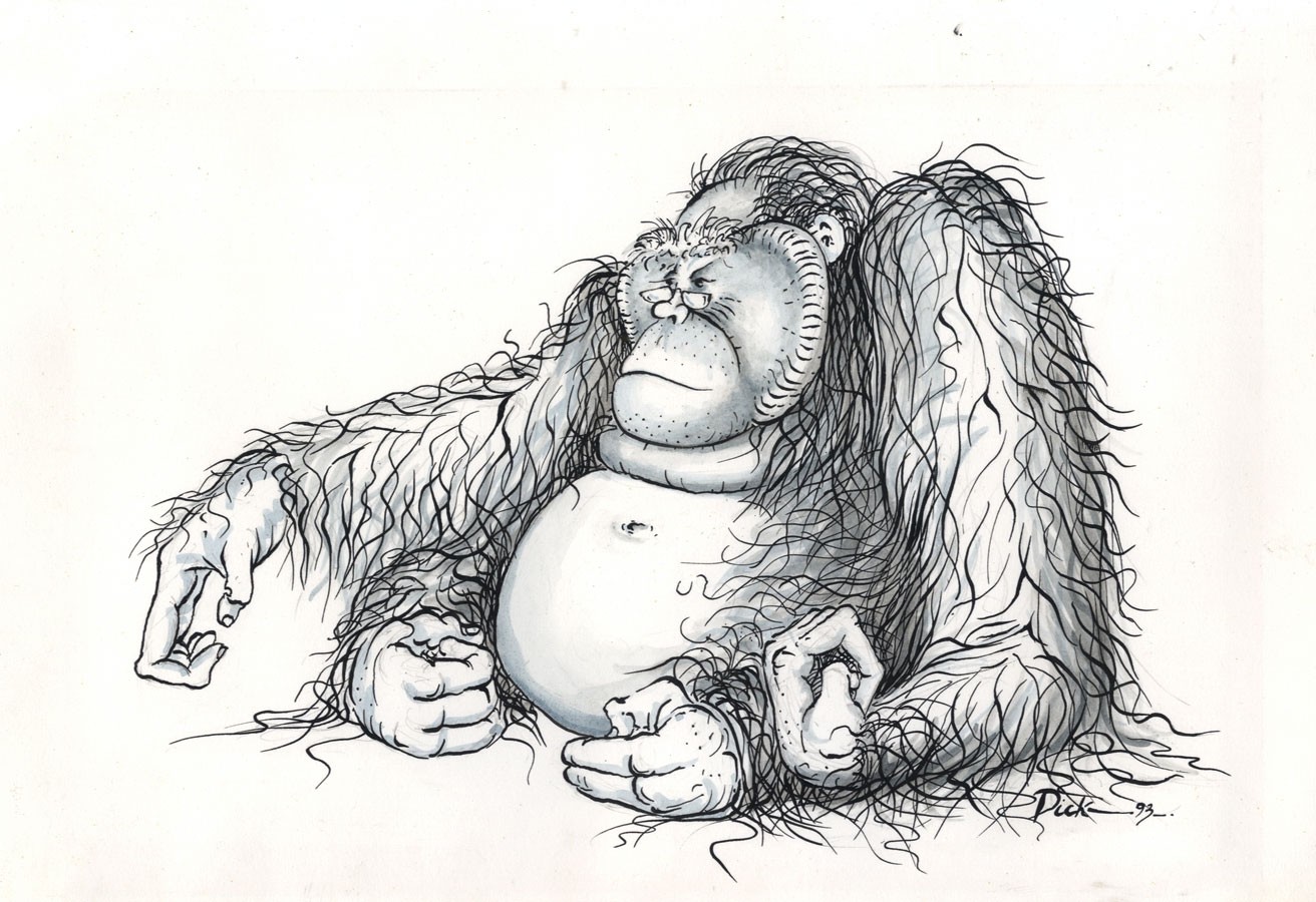 1312x900 Dick - Ape Sketch