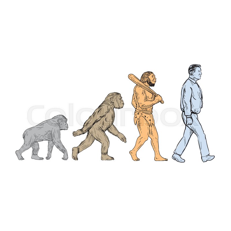 800x800 Drawing Sketch Style Illustration Showing Human Evolution From - Ape Sketch