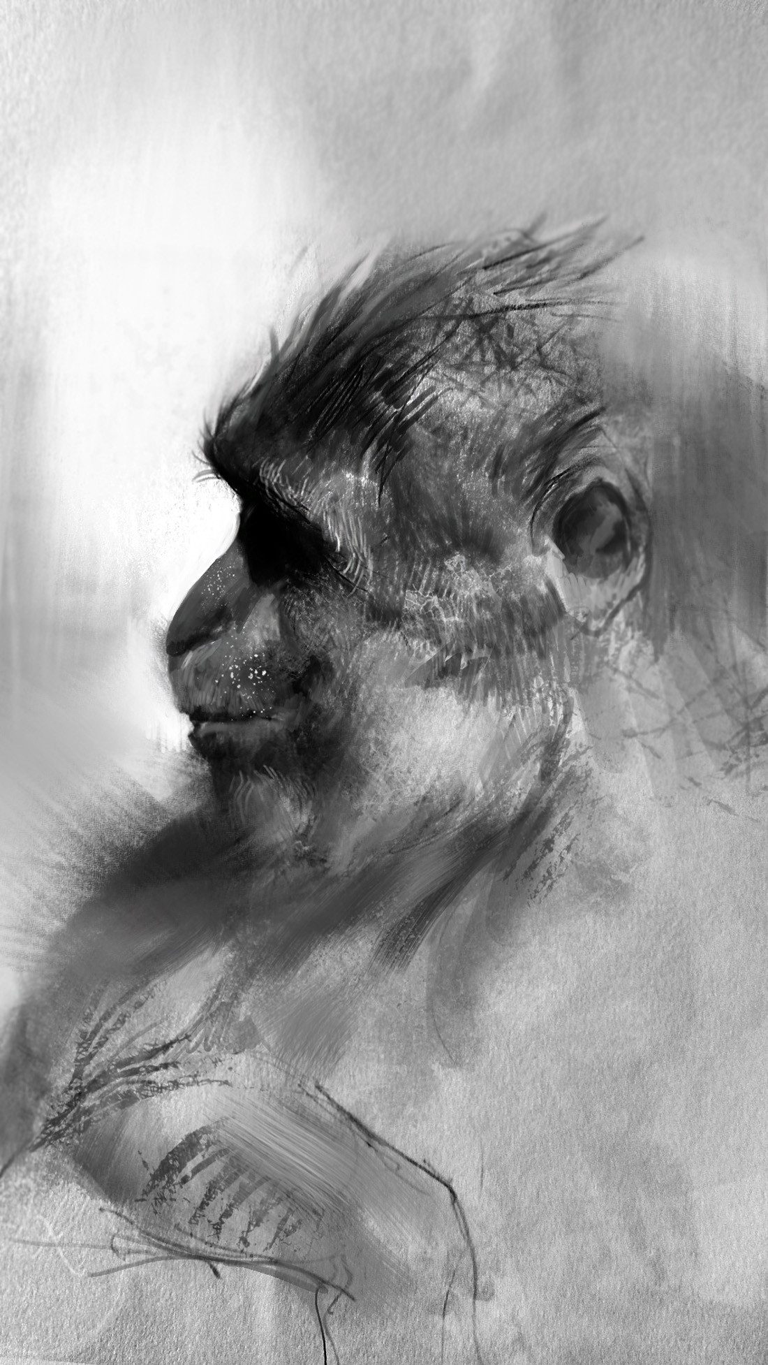 1100x1954 Leszek - Ape Sketch