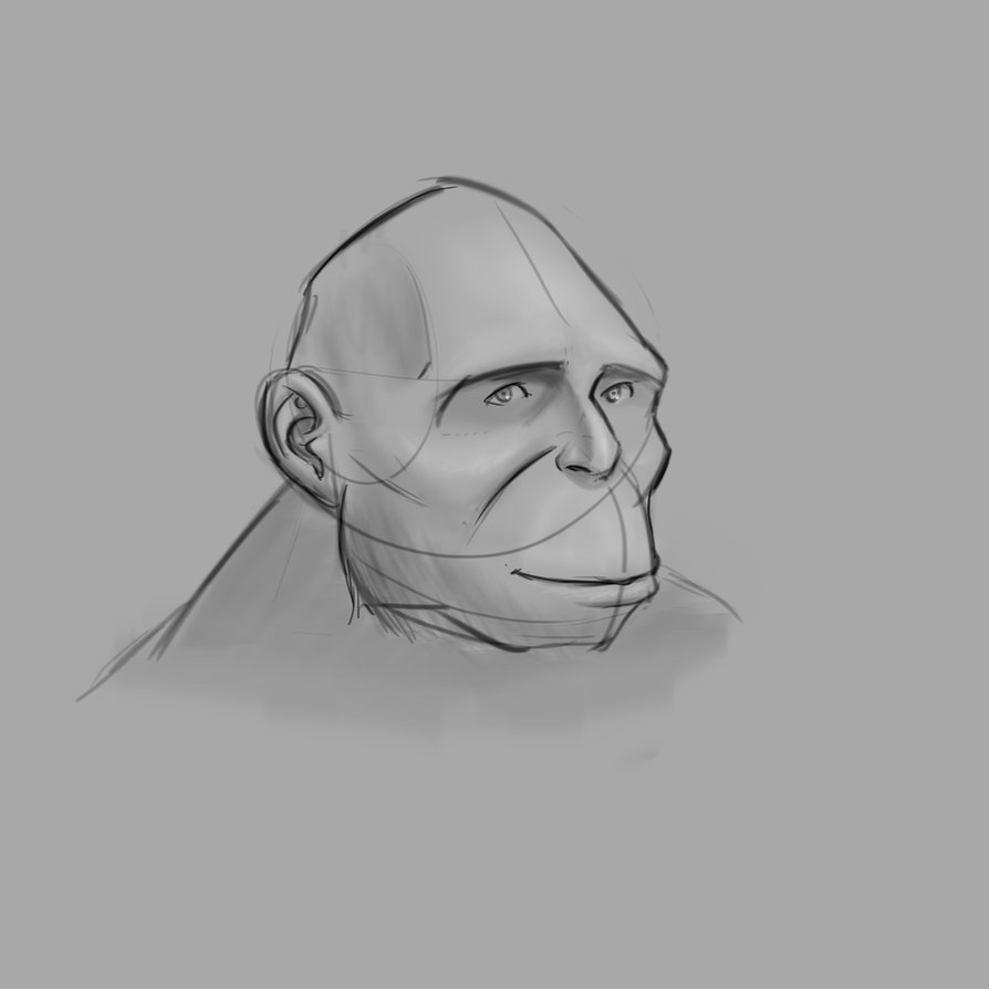 894x894 Ape Sketch By Otunisien - Ape Sketch