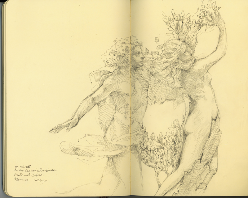 800x641 Berninidaphne And Apollo Drawing The Motmot - Apollo Sketch