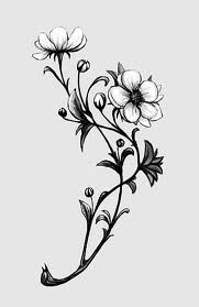 181x279 Apple Blossom Sketch Tattoo Ideas Tattoo, Tattoo - Apple Blossom Sketch
