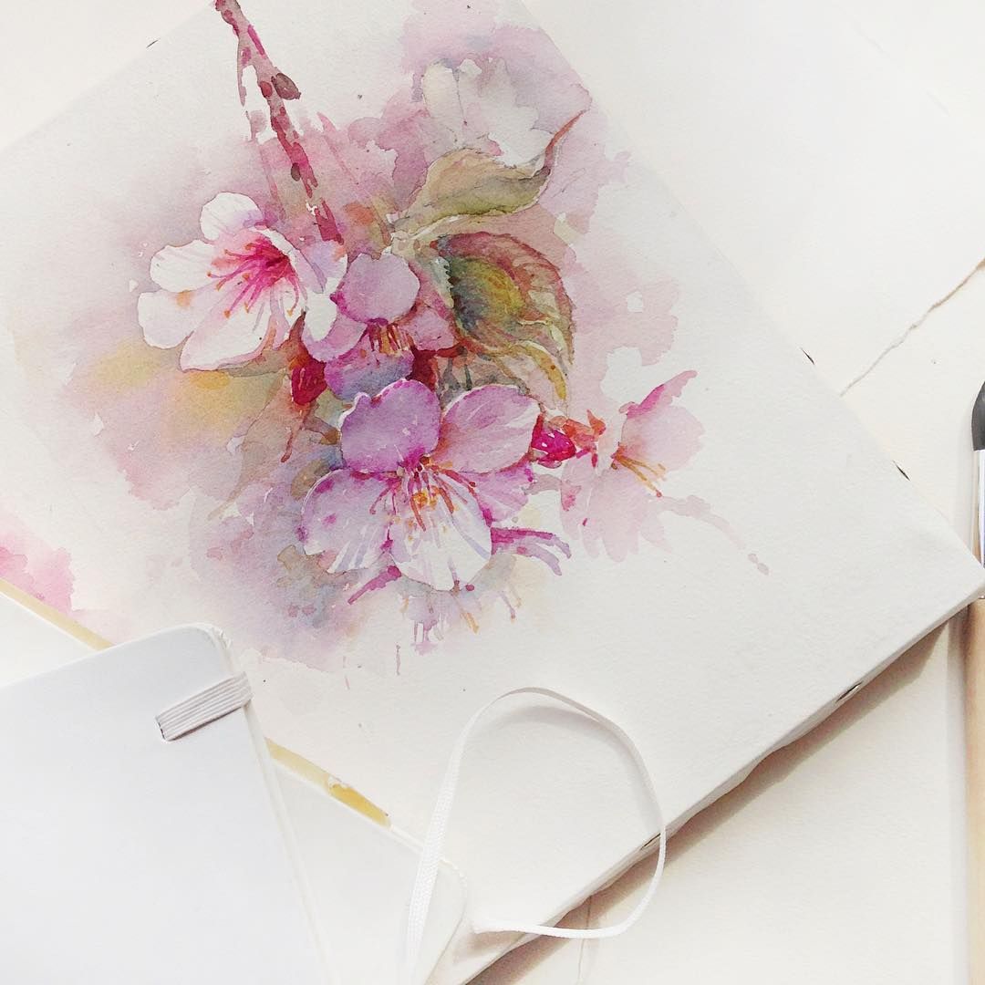 1080x1080 Done ) Apple Blossom Sketch Beautiful Flowers. Prekrasnye Tcvety - Apple Blossom Sketch