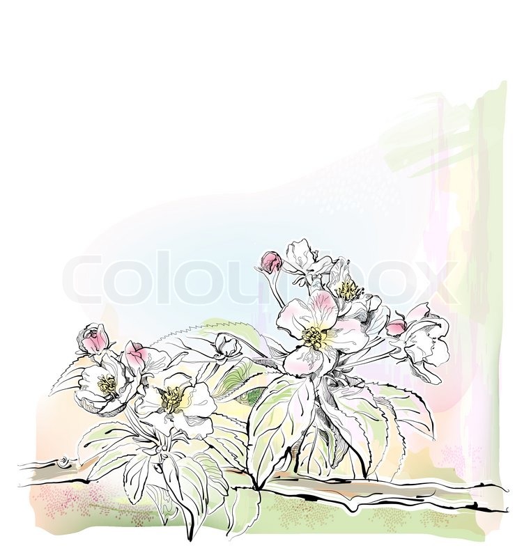 762x800 Sketch Of Apple Tree In Bloom Stock Vector Colourbox - Apple Blossom Sketch