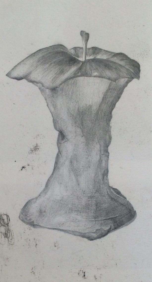 614x1136 Apple Core Pencil And Graphite Drawing Development Assignment - Apple Core Sketch