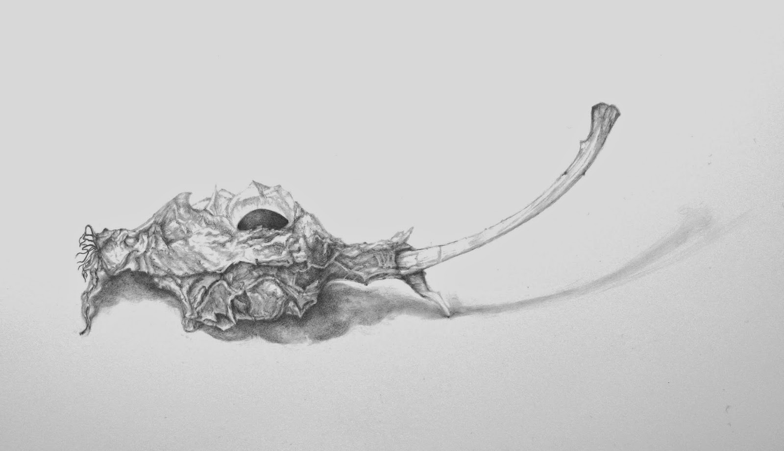 1600x921 Verysmallstudio - Apple Core Sketch