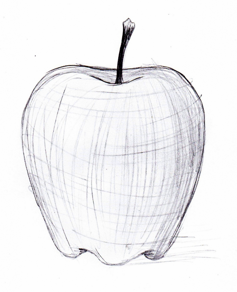 Apple Pencil Drawing Random Lines Hand Drawn Monotone Apple Design