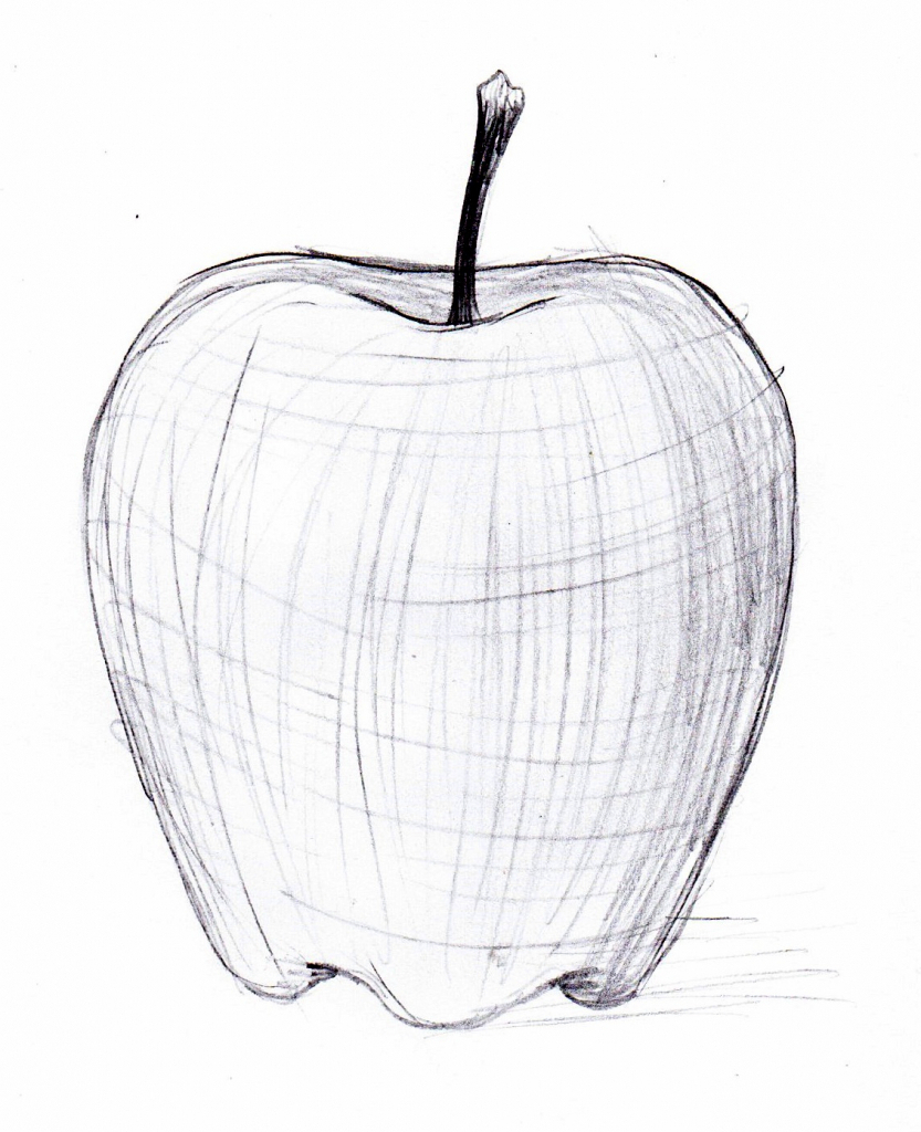 apple sketch art vector