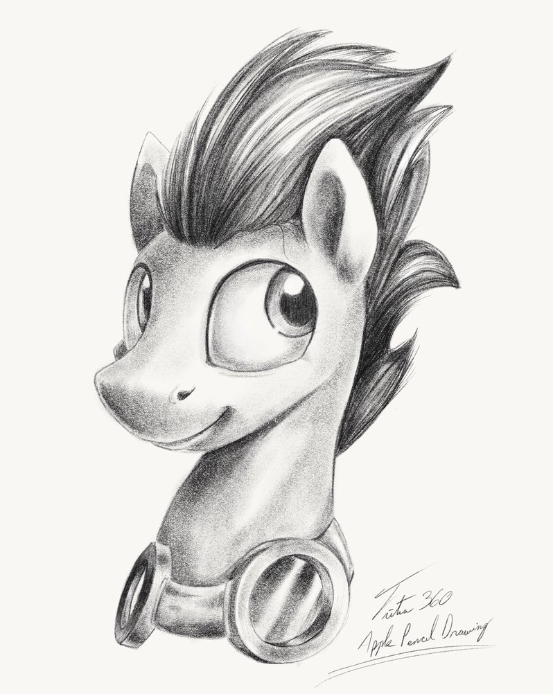 798x1002 Soarin - Apple Pencil Sketch
