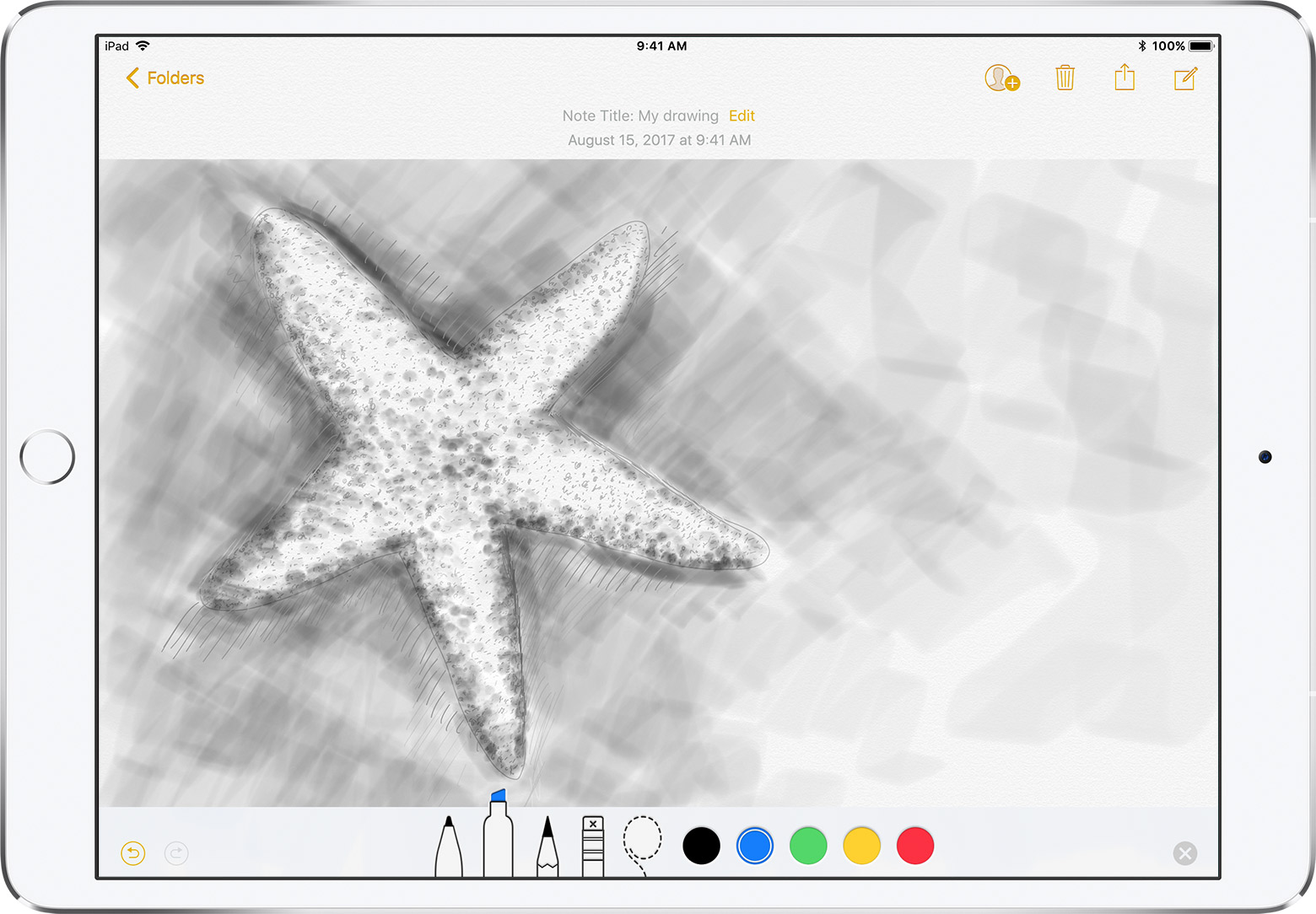 Apple Pencil Sketch at Explore collection of Apple