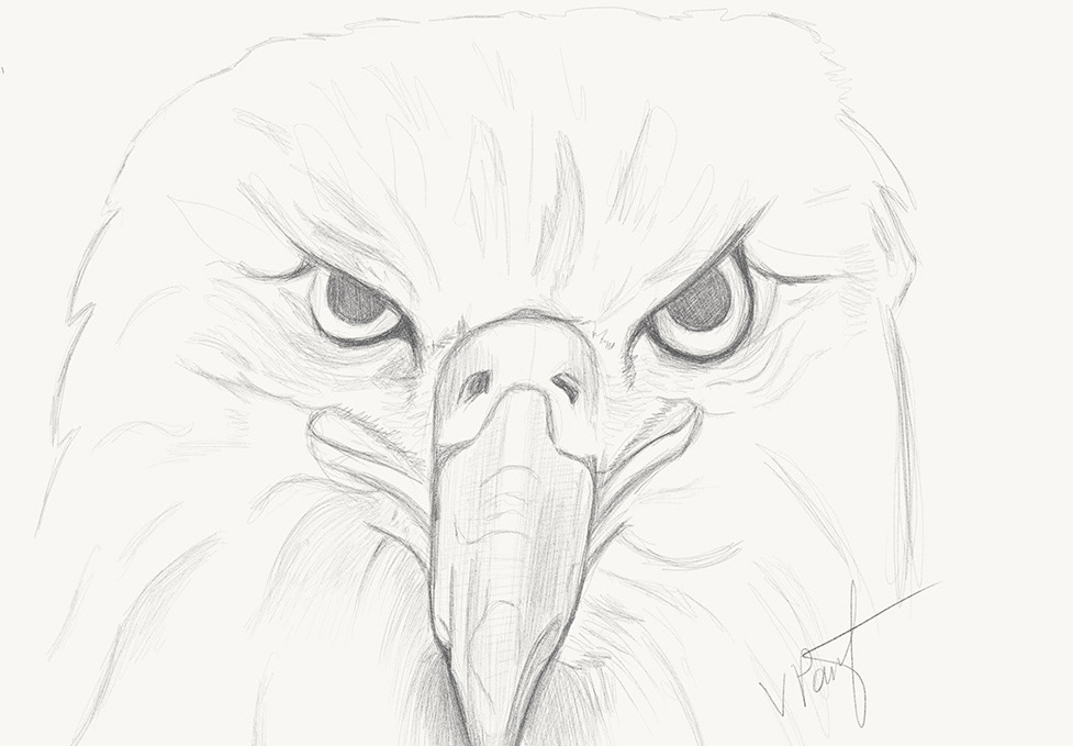 977x679 Victoria Pavlov - Apple Pencil Sketch