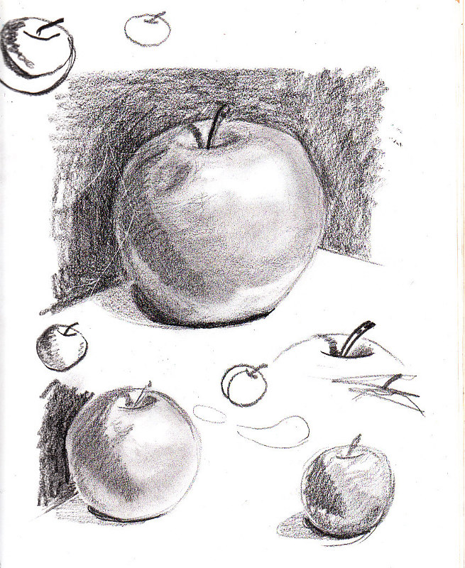655x800 Apple Sketches - Apple Sketch