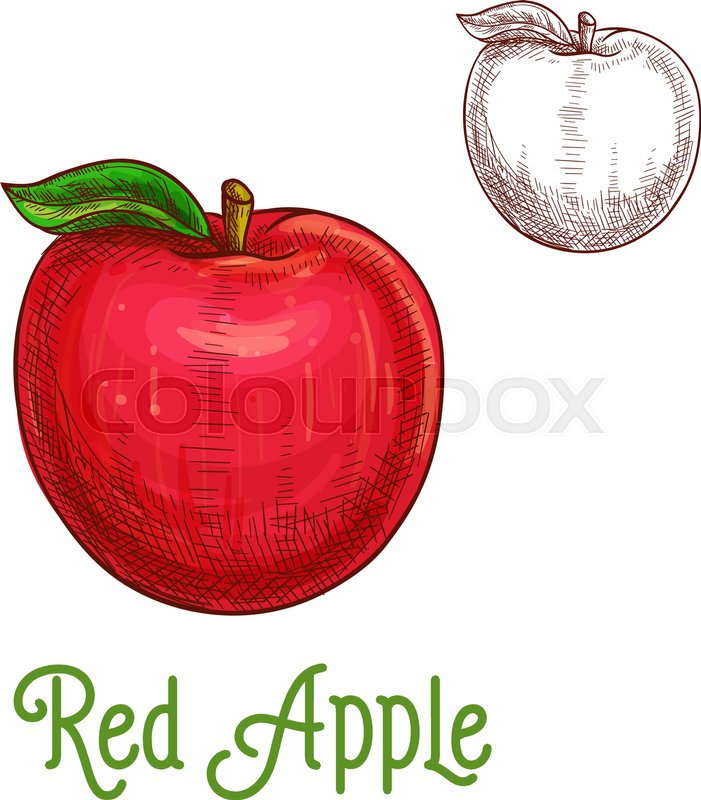 701x800 Apple Fruit Sketch. Vector Isolated Icon Of Fresh Red Apple With - Apple Sketch