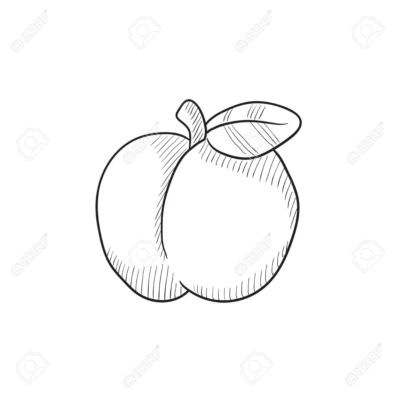 1300x1300 Drawn Apple Sketch - Apple Sketch