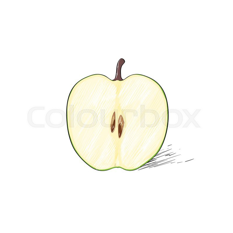 800x800 Green Cut Half Apple Sketch Draw Isolated Over White Background - Apple Sketch