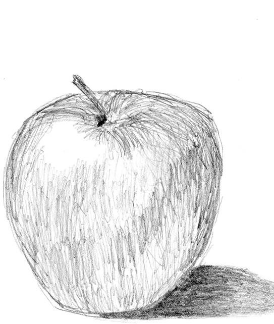 543x642 Apple Pencil Sketch By Unpr0gr4mm3d - Apple Sketch