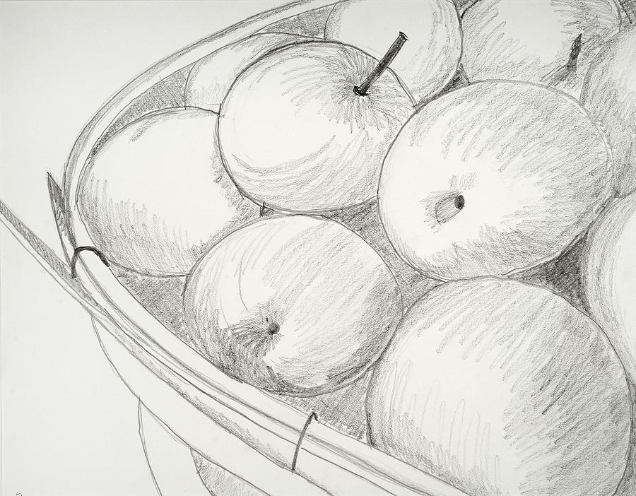 Apple Sketch At Paintingvalley.com 