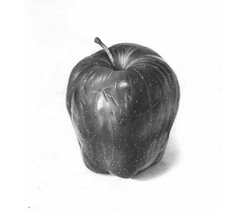 500x426 Pencil Sketches And Arts - Apple Sketch Image
