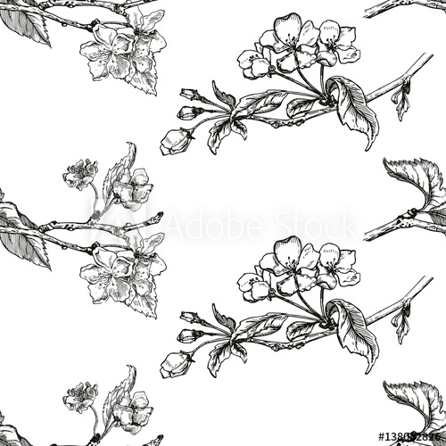 500x500 Apple Tree Sketch Design - Apple Tree Sketch