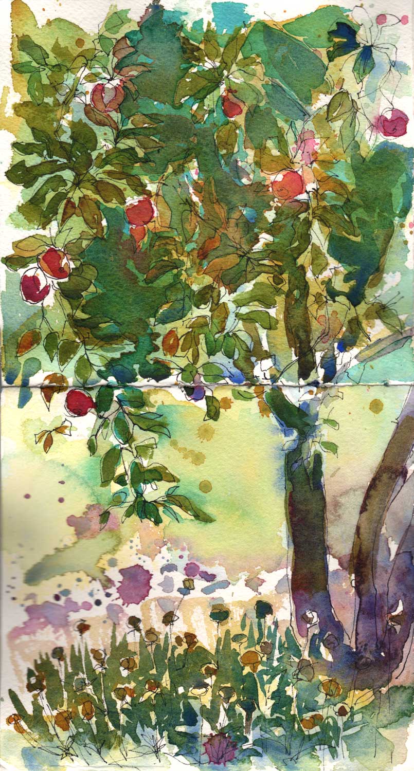 805x1500 Day 10 - Apple Tree Sketch