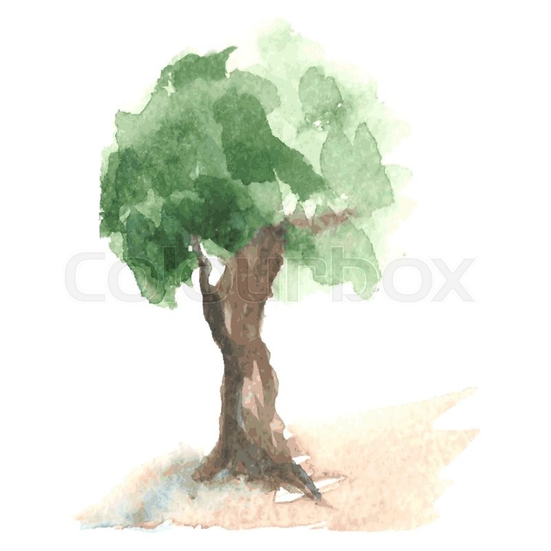 800x800 Old Watercolor Tree With Green Foliage Which Flutters On A Wind On - Apple Tree Sketch