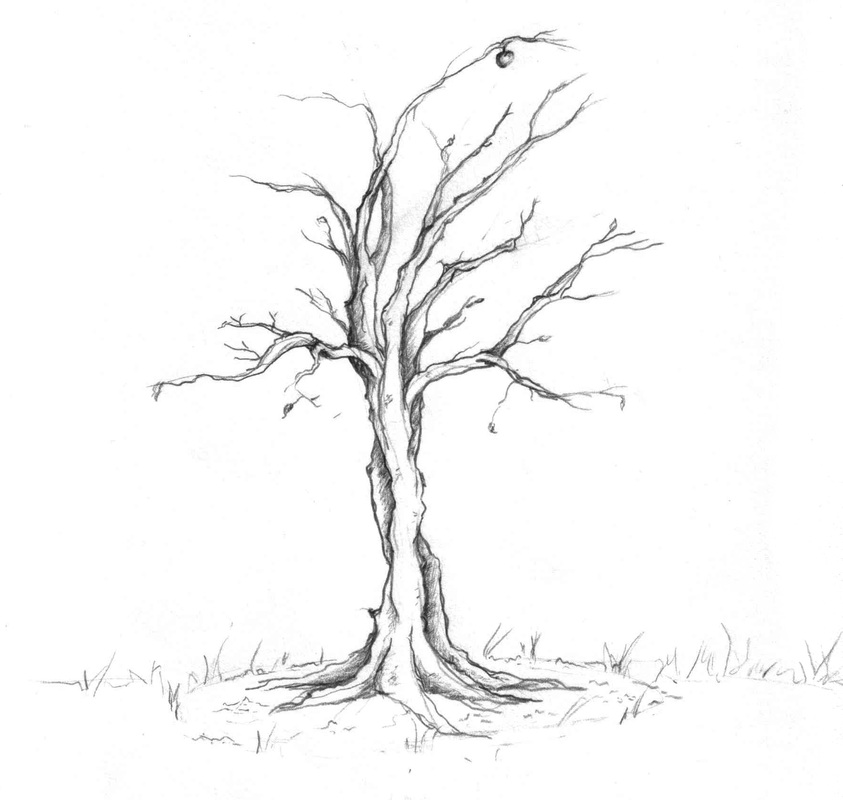Featured image of post Sketch Drawing Apple Tree - There are 50 apple tree sketch for sale on etsy, and they cost £19.63 on average.