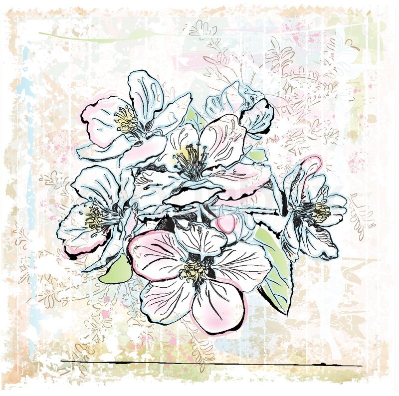 800x794 Sketch Of Apple Tree In Bloom Stock Vector Colourbox - Apple Tree Sketch