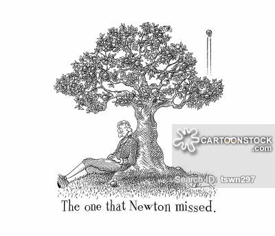 400x344 Apple Tree Cartoons And Comics - Apple Tree Sketch