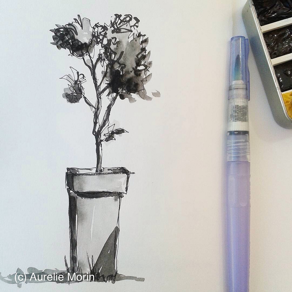 1024x1024 Orange Tree Sketch In The Backyard And Tiny Tin - Aquarelle Sketch