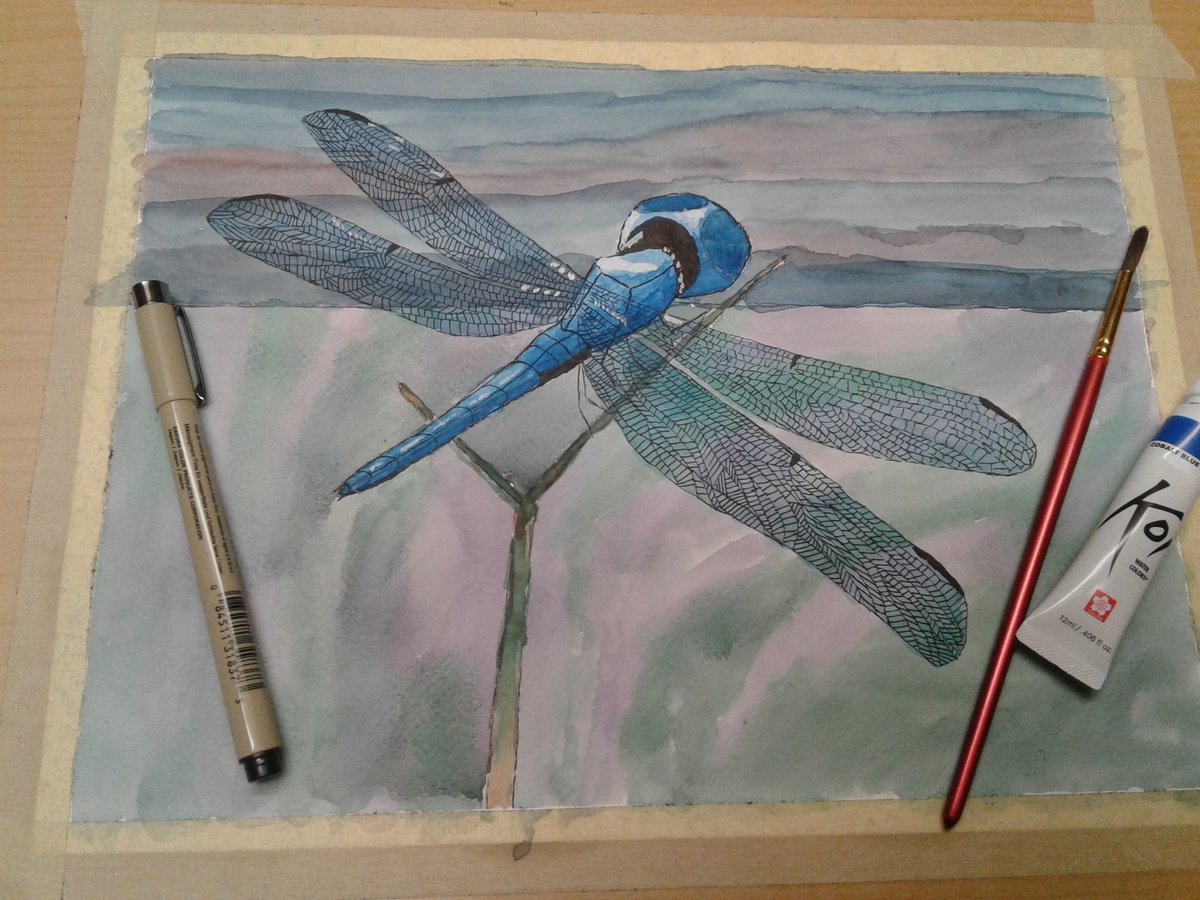 1200x900 Insecto On Twitter Blue Dasher Watercolor And Ink Pen Dragonfly - Aquarelle Sketch