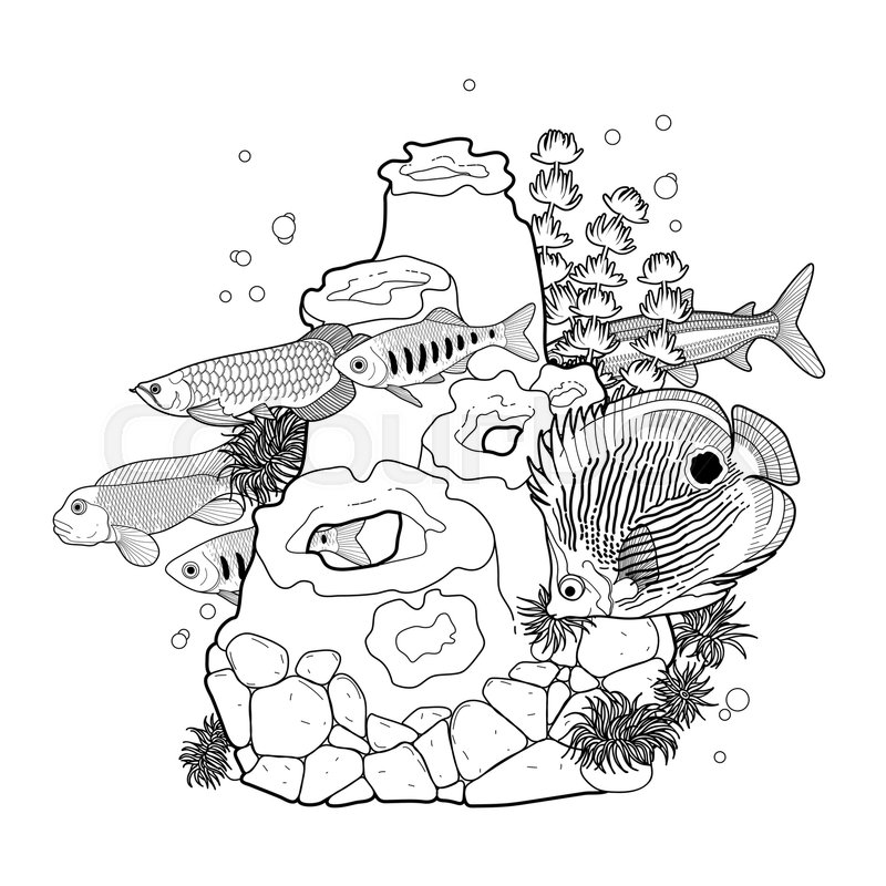 800x800 Graphic Aquarium Fish With Coral Reef Drawn In Line Art Style - Aquarium Sketch