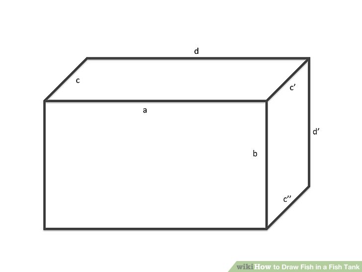 728x546 How To Draw Fish In A Fish Tank 7 Steps (With Pictures) - Aquarium Sketch