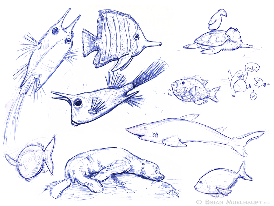 900x675 Pants Weather Press Brooklyn Aquarium - Aquarium Sketch